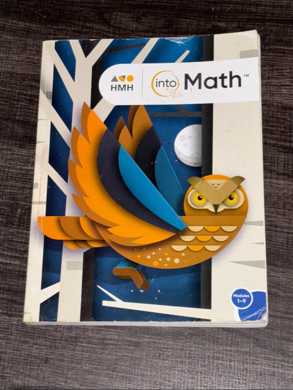HMH Into Math Grade 4 Homeschool Workbook - Orange & Blue Owl Cover